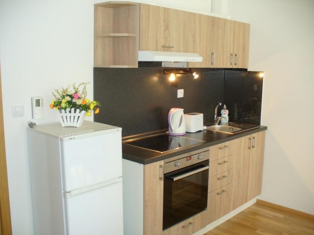 Garden Apartment With Garage In Central براغ المظهر الخارجي الصورة